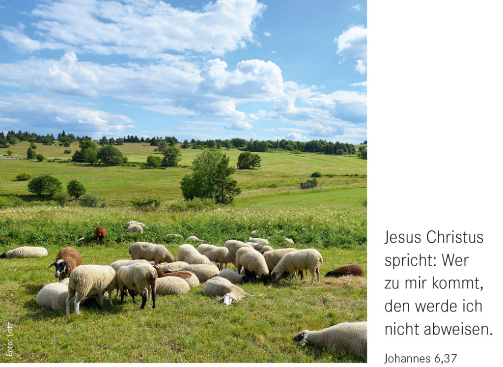 Jahreslosung 2022: Jesus Christus spricht: Wer zu mir kommt, den werde ich nicht abweisen. (Johannes 6,37)