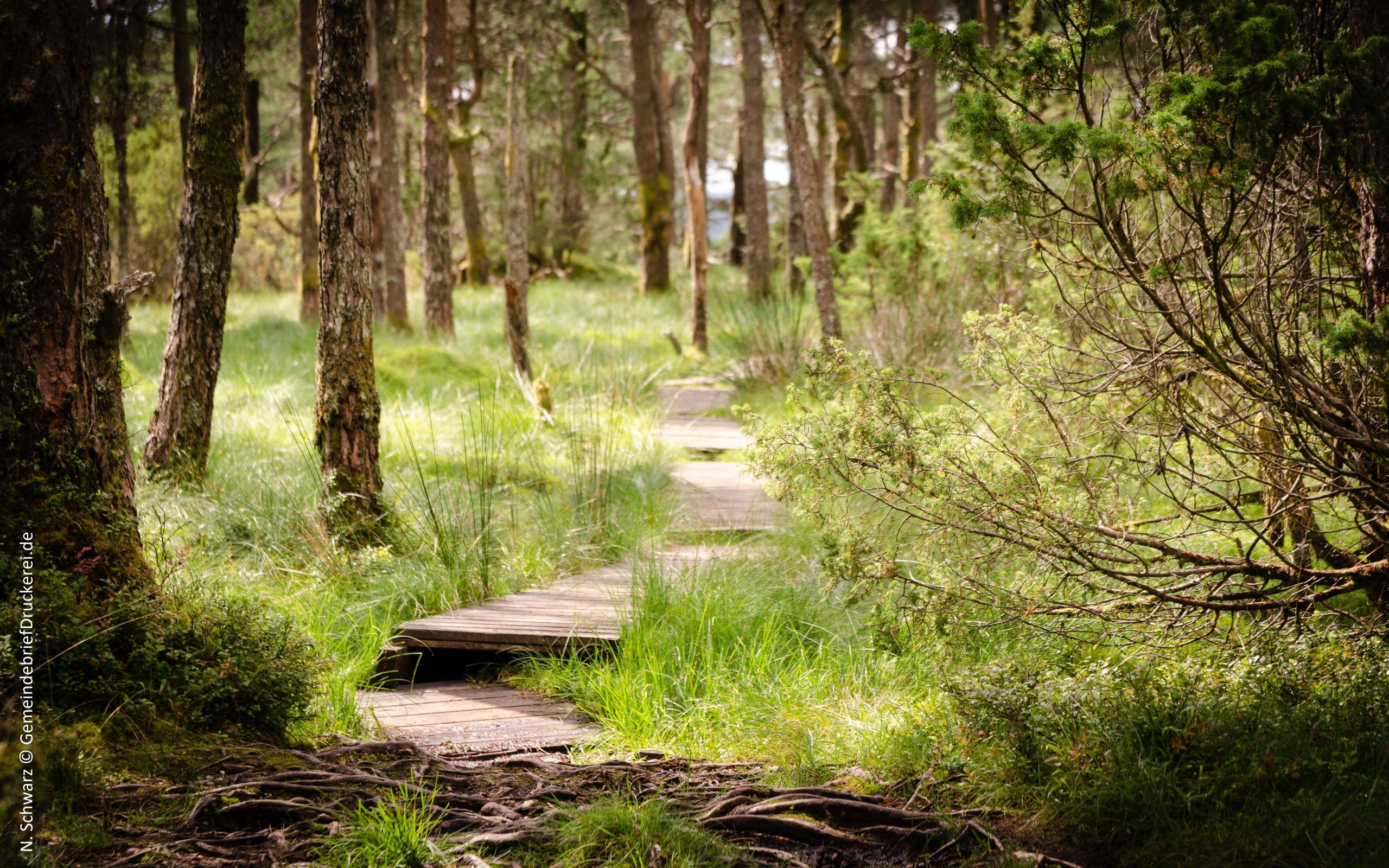 Symbolbild Wanderung