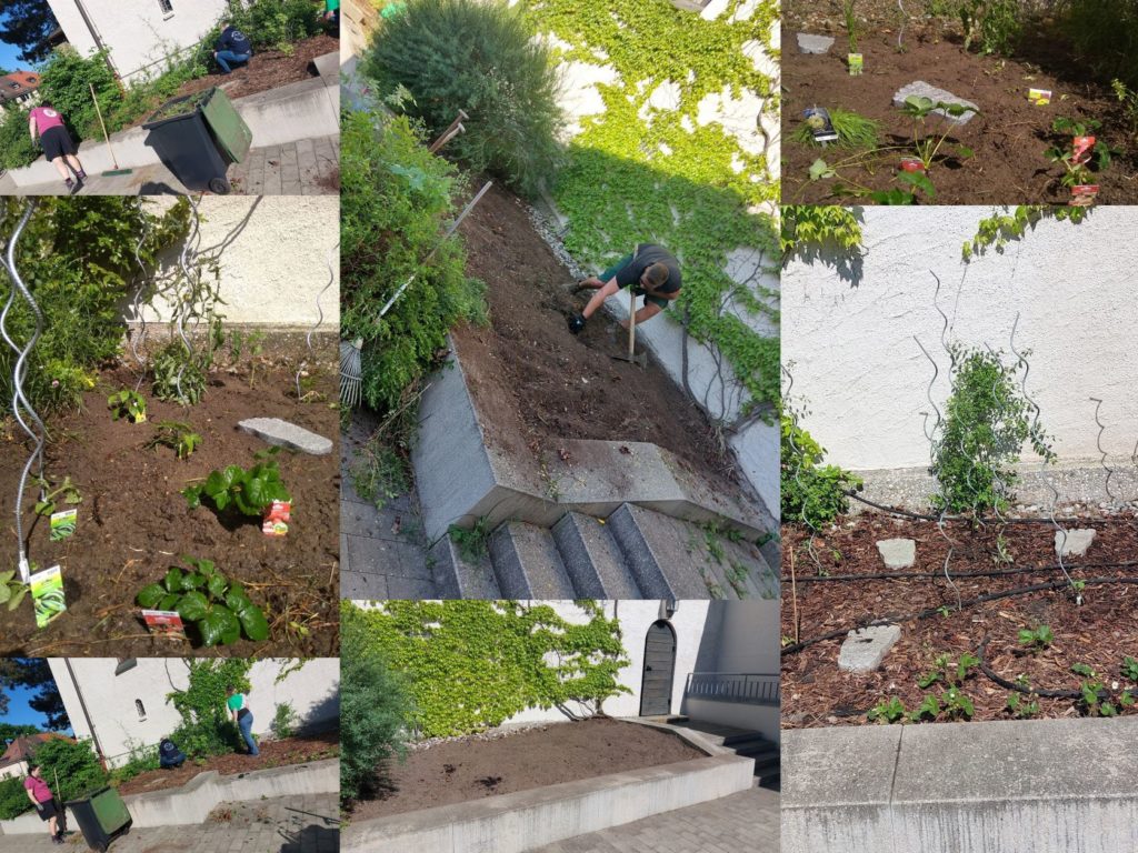 Impressionen aus dem Naschgarten an der Stephanuskirche mit Helfern, die das Beet anlegen und pflegen.