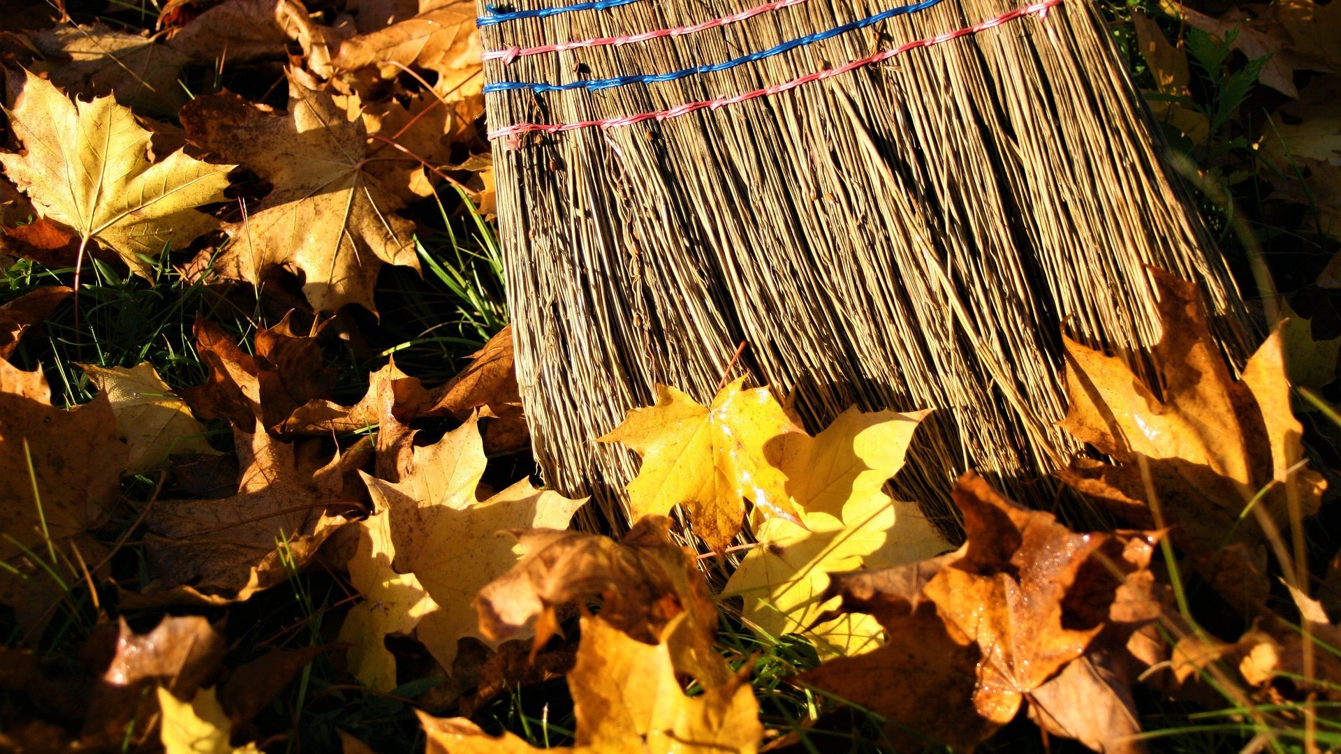 Besen der Herbstlaub zusammenkehrt.
