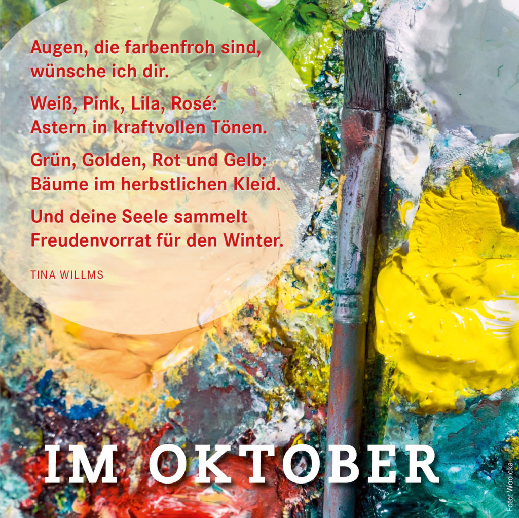 Augen, die farbenfroh sind, wünsche ich dir.  Weiß, Pink, Lila, Rosé: Astern in kraftvollen Tönen. Grün, Golden, Rot und Gelb: Bäume im herbstlichen Kleid.  Und deine Seele sammelt  Freudenvorrat für den Winter. Tina Willms